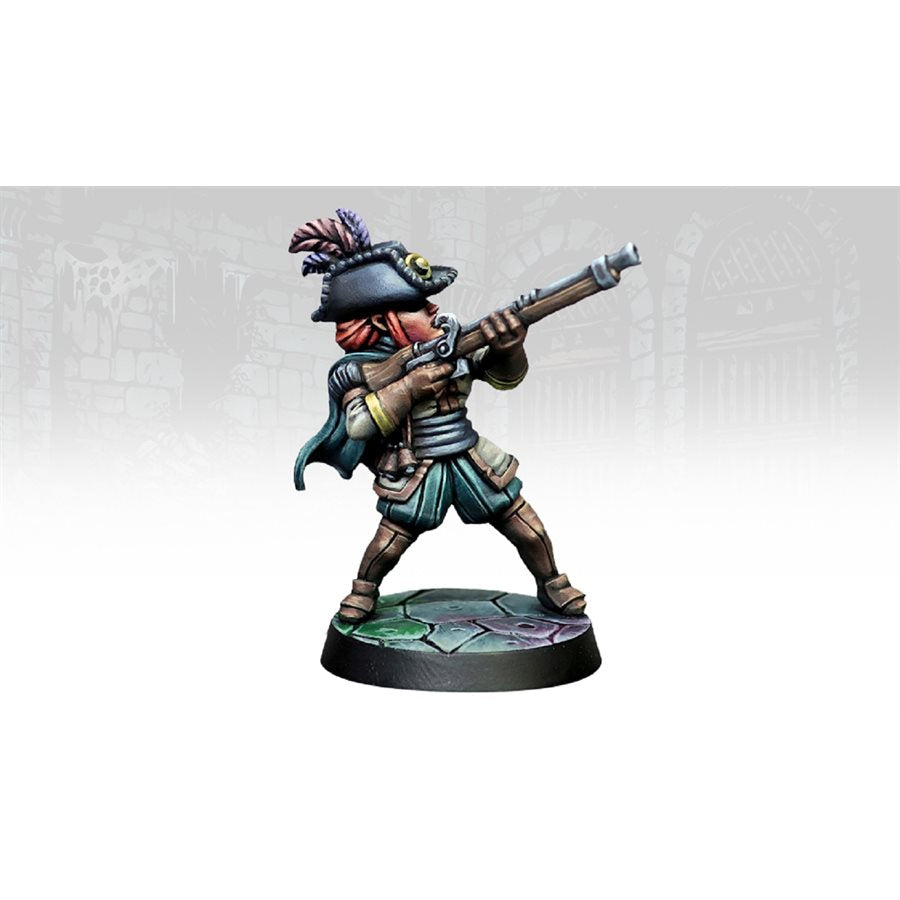 Darkest Dungeon: Musketeer Expansion