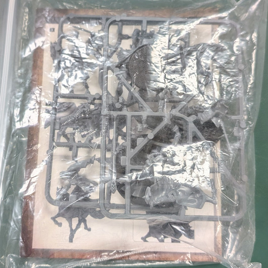 LOTR: Gandalf™ the White and Peregrin Took™ (Used)