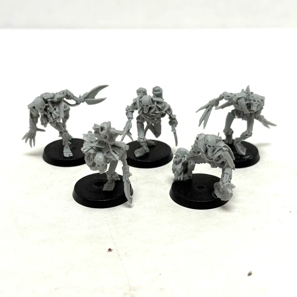 Necrons: Flayed Ones (2) (Used)
