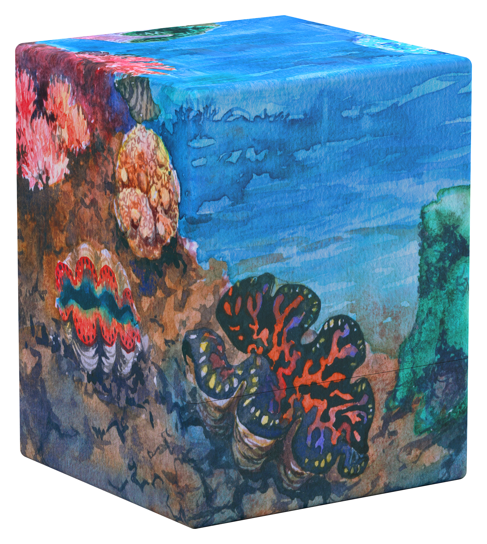 UG Deck Case Boulder 100+ Coral Places: Coralline Eden