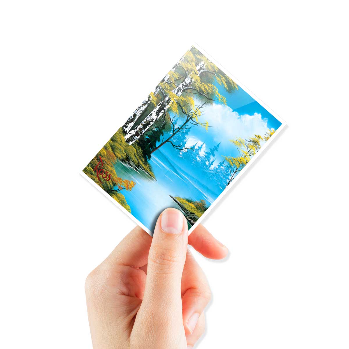 Apex Deck Protector Sleeves: Bob Ross Lakeside Path 105 CT