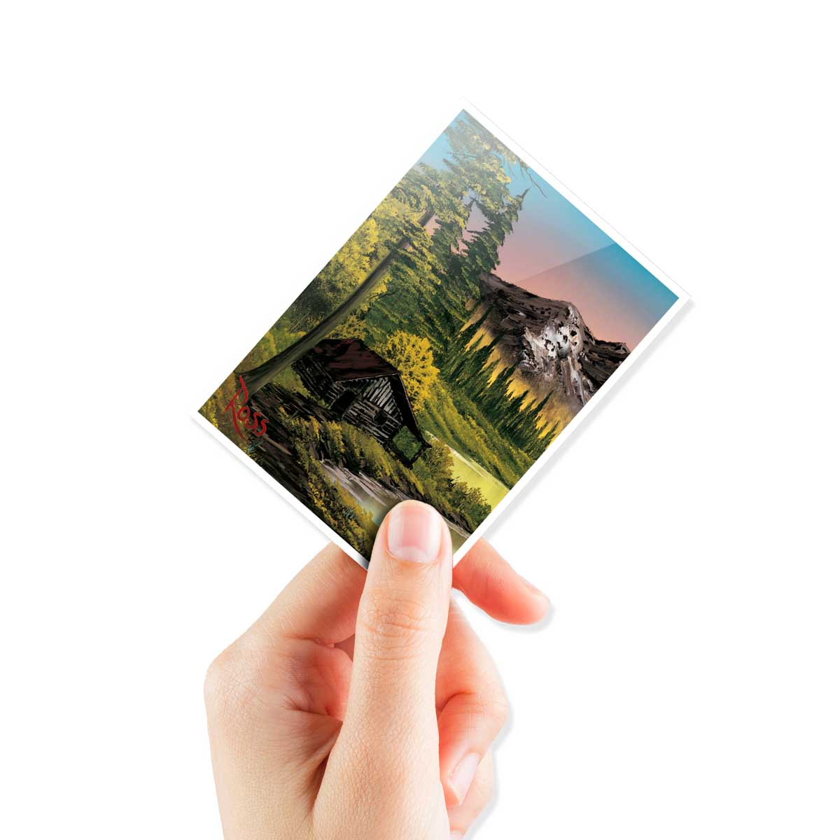 Pochettes de protection Apex Deck Protector : Bob Ross Mountain Retreat 105CT