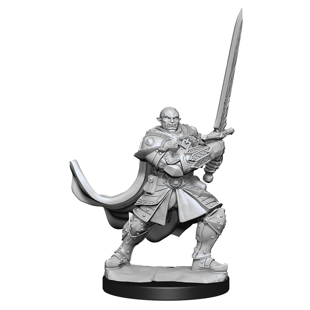 Male Half-Orc Paladin