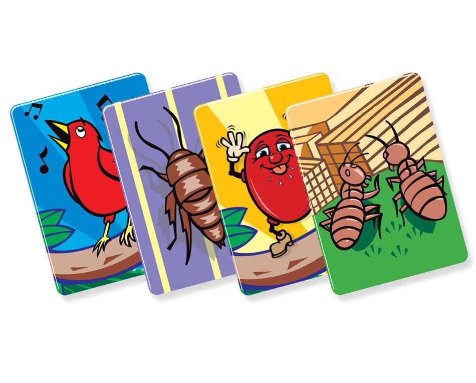 Birds, Bugs and Beans (English) (Used)