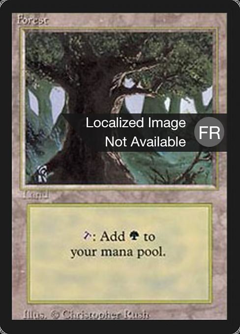 Forest (304) [Foreign Black Border]