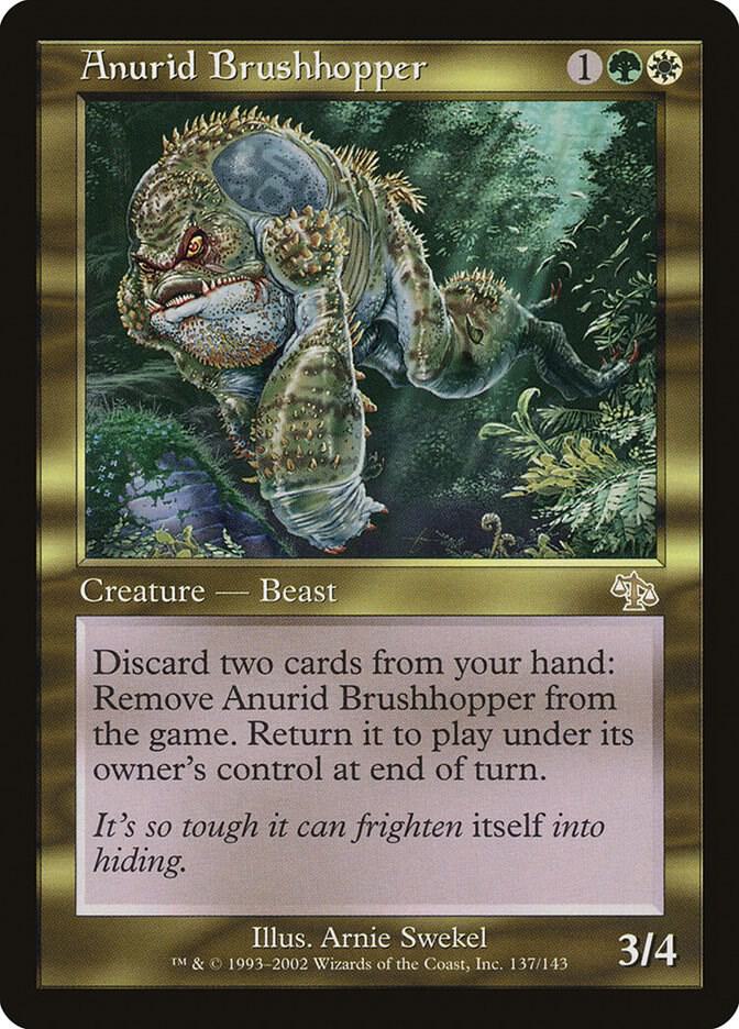 Anurid Brushhopper (137) [Judgment]