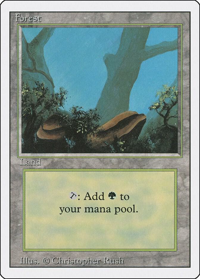 Forest (A) (284) [Revised Edition]