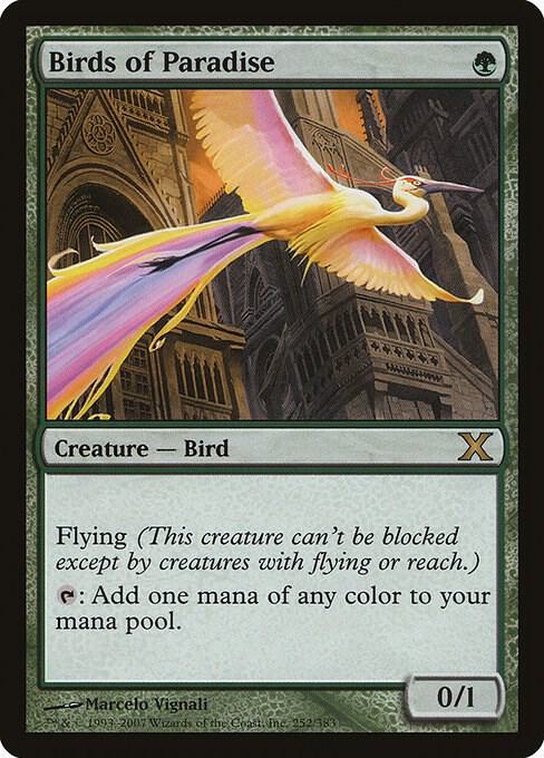 Birds of Paradise (252) [Tenth Edition]