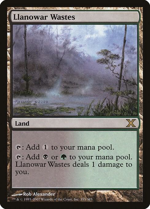 Llanowar Wastes (355) [Tenth Edition]