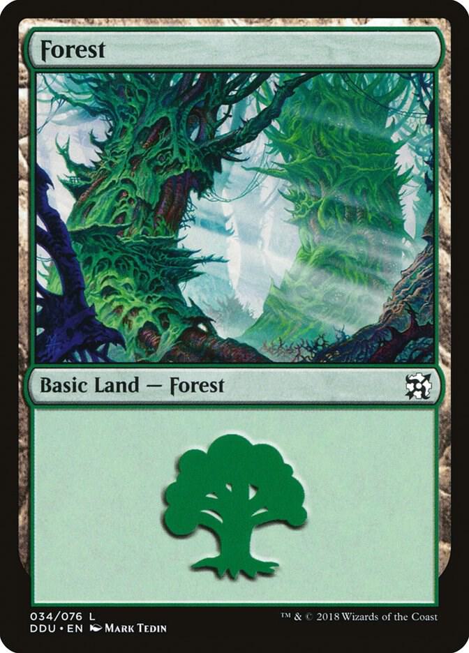 Forest (034) [Duel Decks: Elves vs. Inventors]