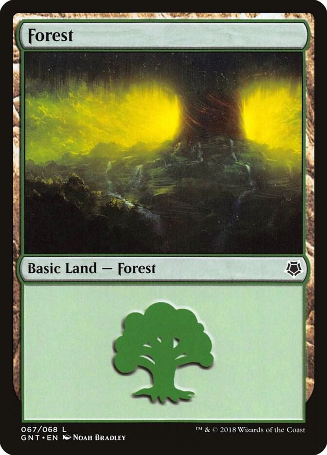 Forest (067) [Game Night]