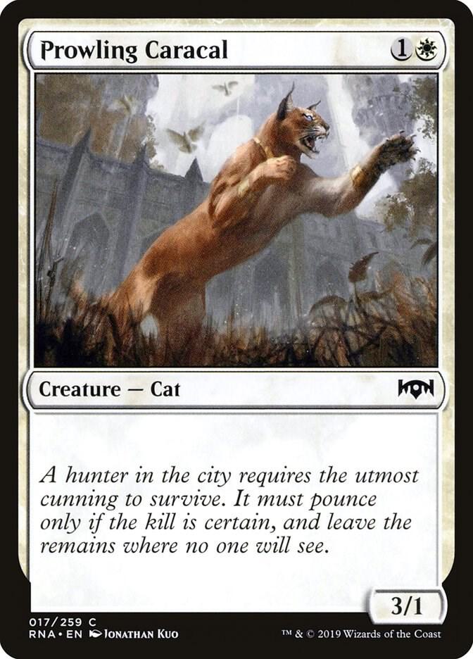 Prowling Caracal (17) [Ravnica Allegiance]
