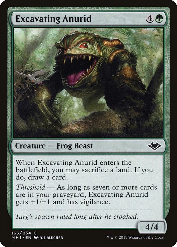Excavating Anurid (163) [Modern Horizons]