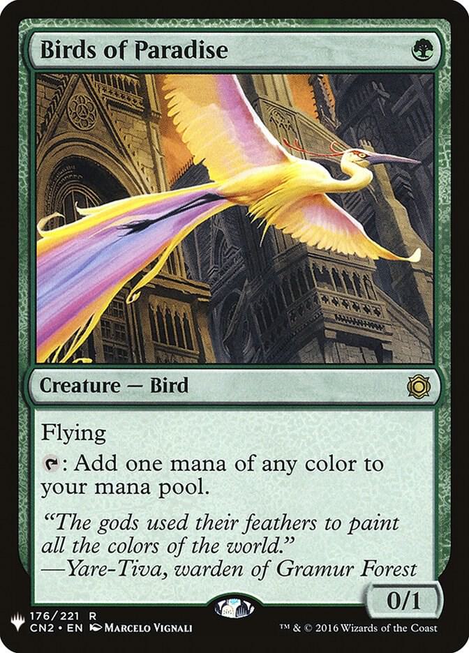 Birds of Paradise (176) [The List]