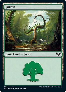 Forest (374) [Strixhaven: School of Mages]