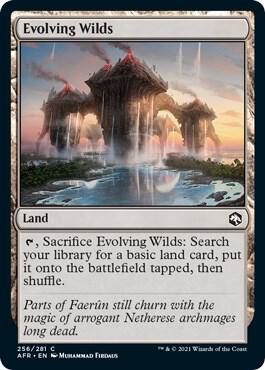 Evolving Wilds (256) [Adventures in the Forgotten Realms]