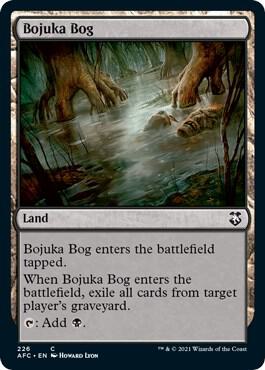 Bojuka Bog (226) [Forgotten Realms Commander]