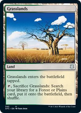 Grasslands (242) [Forgotten Realms Commander]