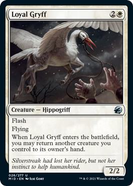 Loyal Gryff (26) [Innistrad: Midnight Hunt]