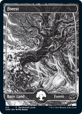 Forest (Moonlit Land) (Foil Etched) (412) [WPN & Gateway Promos]