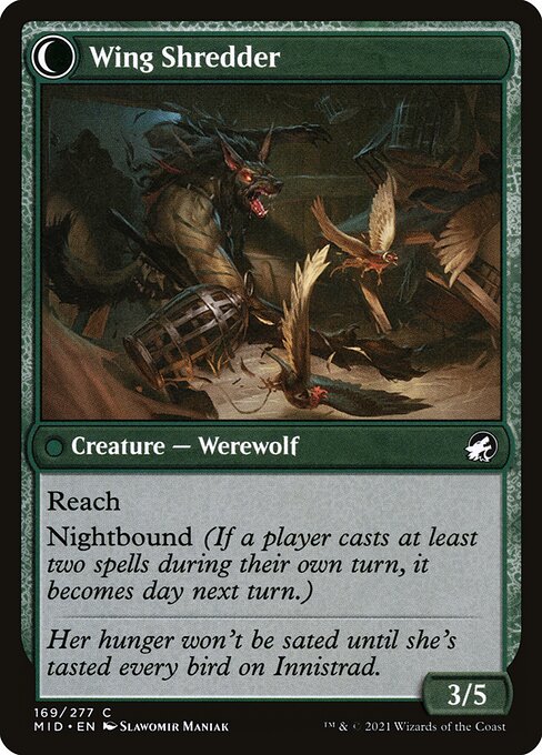 Bird Admirer (169) [Innistrad: Midnight Hunt] Reverse