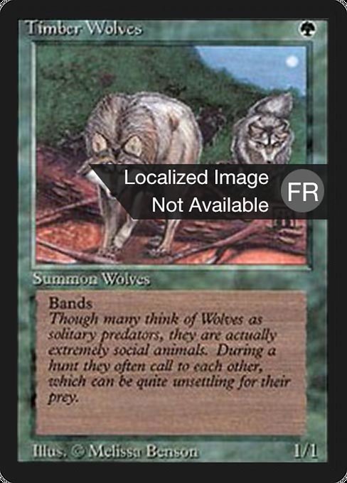 Timber Wolves (219) [Foreign Black Border]