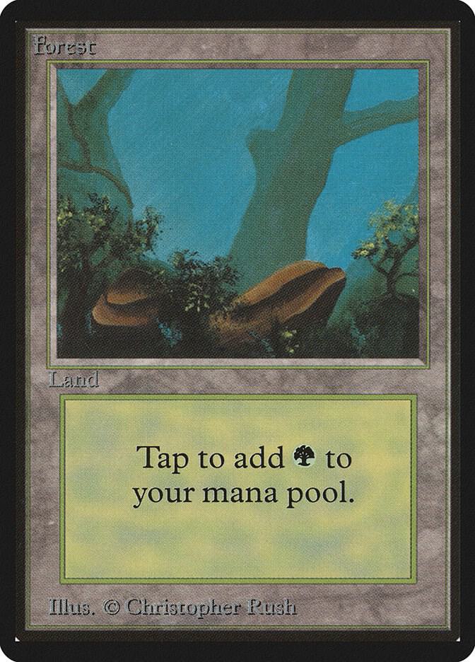 Forest (A) (300) [Limited Edition Beta]
