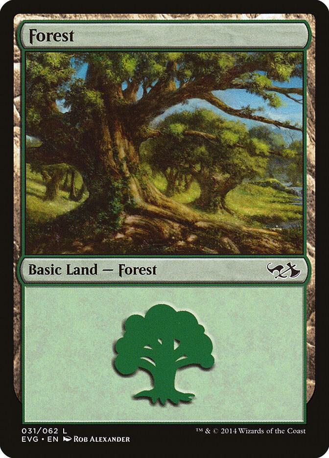 Forest (031) (EVG) [Duel Decks: Anthology]