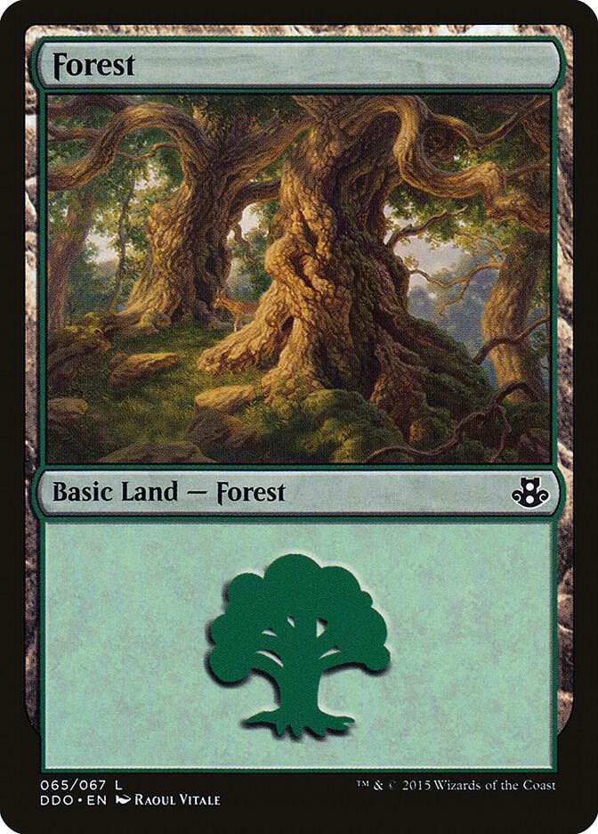 Forest (065) [Duel Decks: Elspeth vs. Kiora]