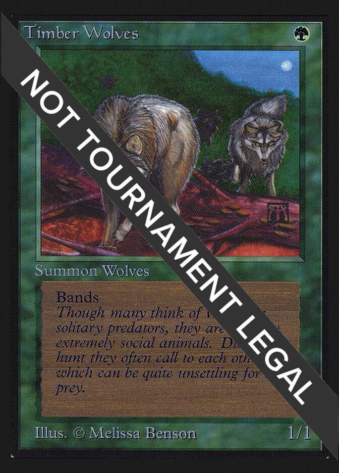 Timber Wolves (IE) [International Edition]