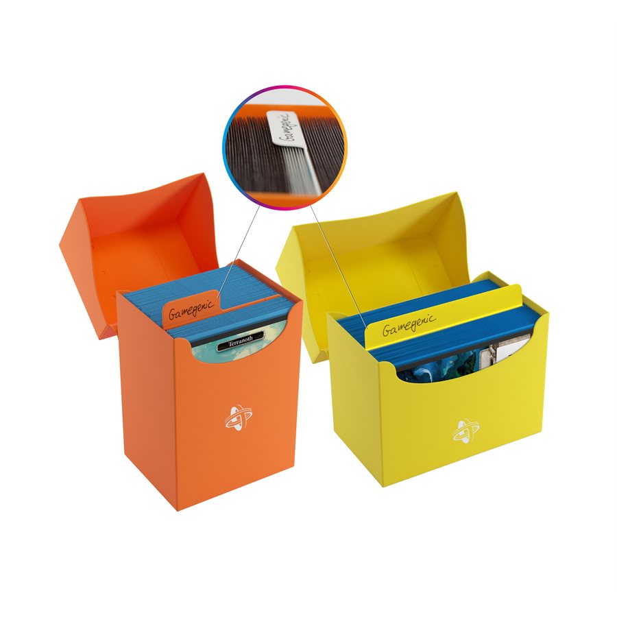 Flex Card Dividers Multicolor 10 CT