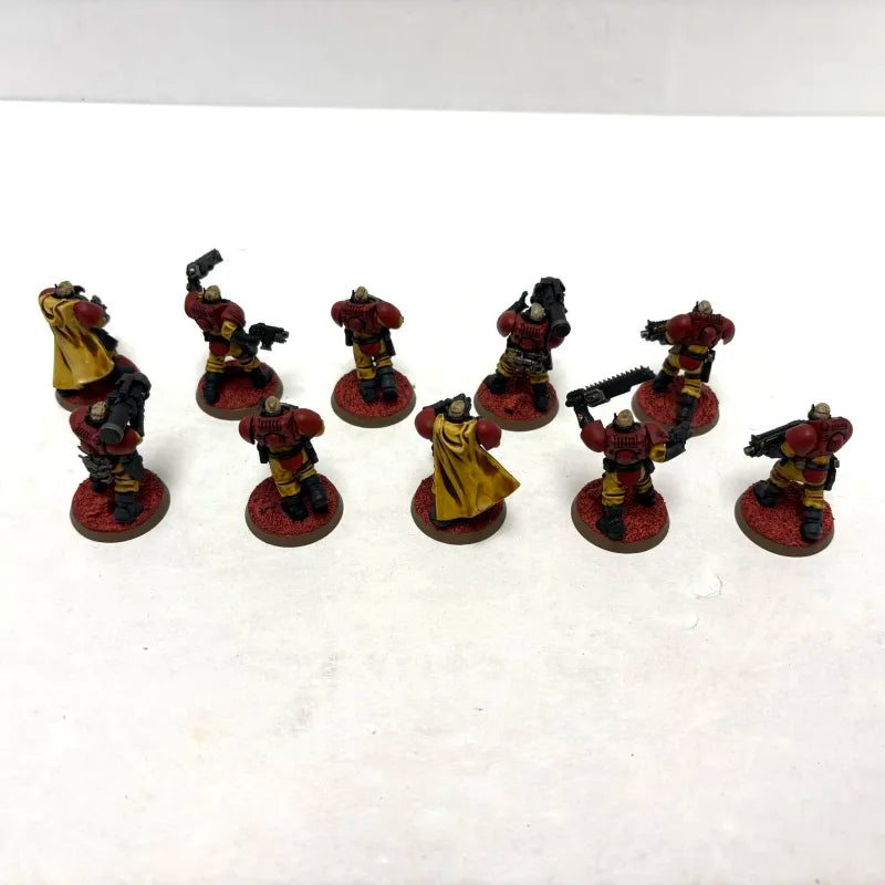 Tyranides : Tyran des Ruches (3) (Utilisé)