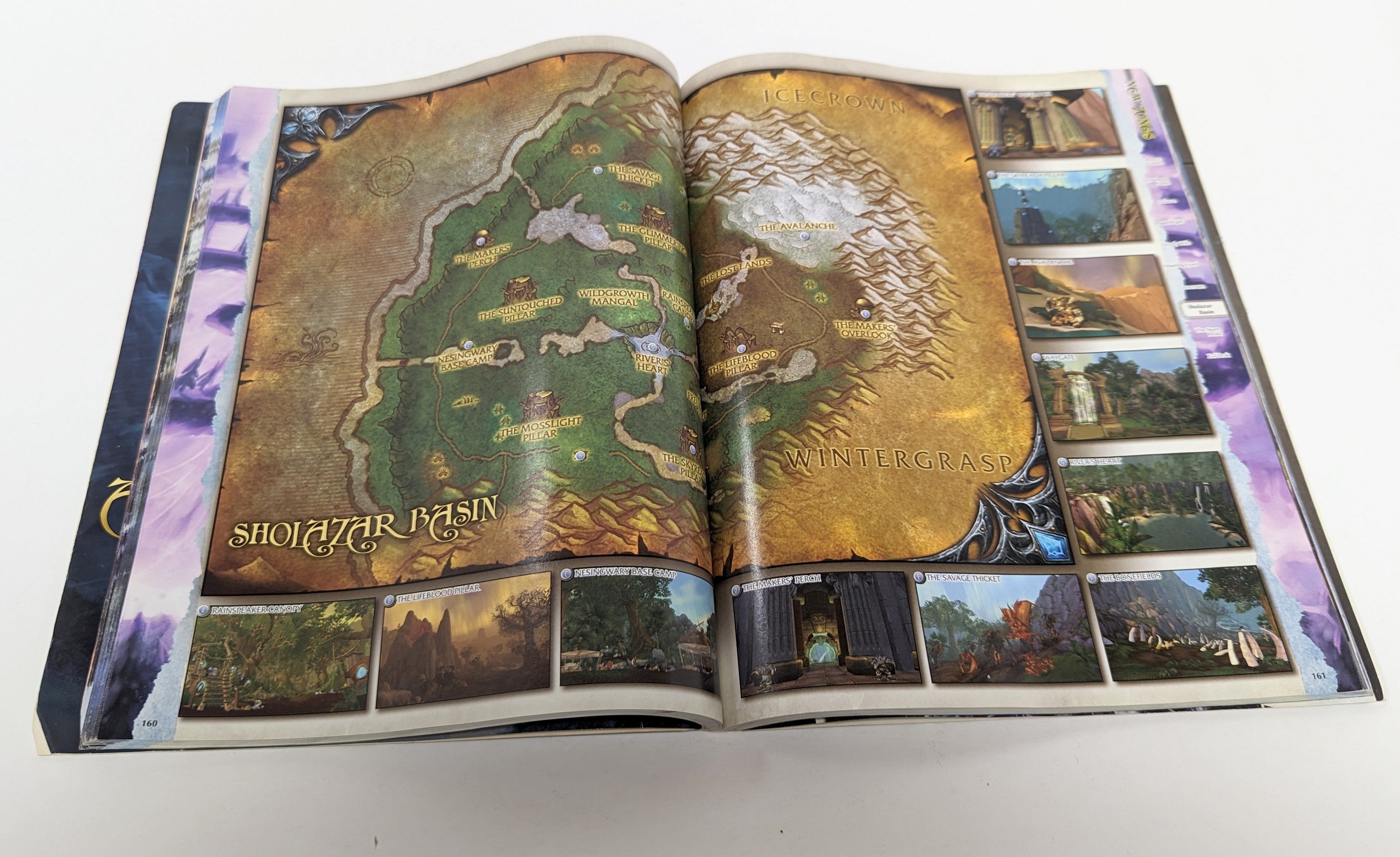 World of Warcraft : Wrath of the Lich King Guide stratégique (utilisé)