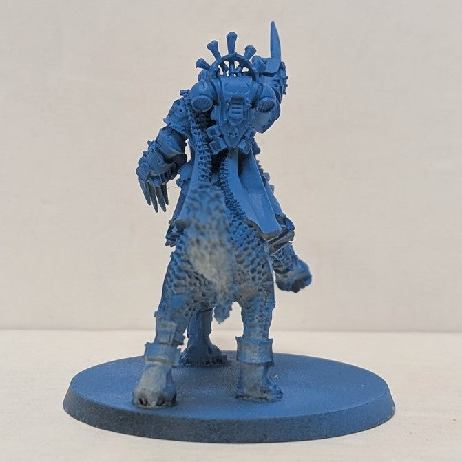 Space Wolves: Canis Wolfborn (Used)