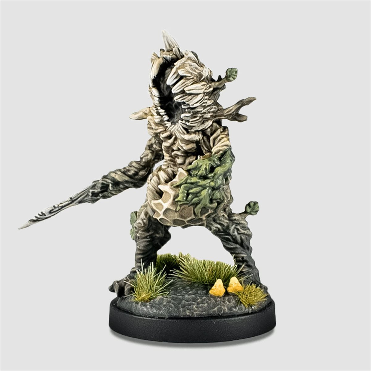 Epic Encounters: Forest of the Damned (English)