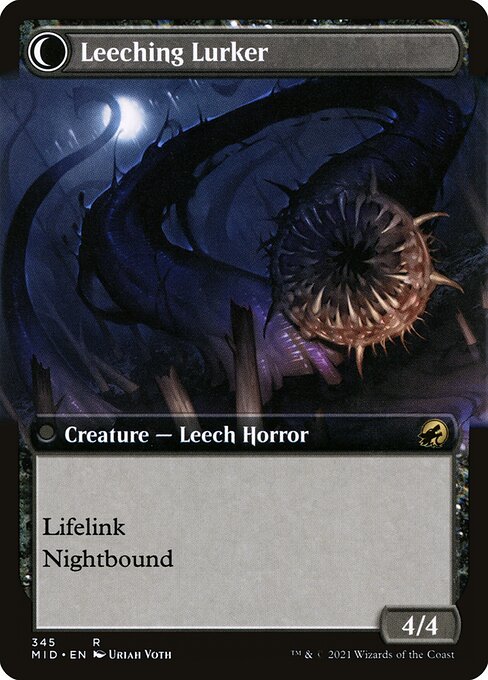 Curse of Leeches (Extended Art) (345) [Innistrad: Midnight Hunt] [Extended Art] Reverse