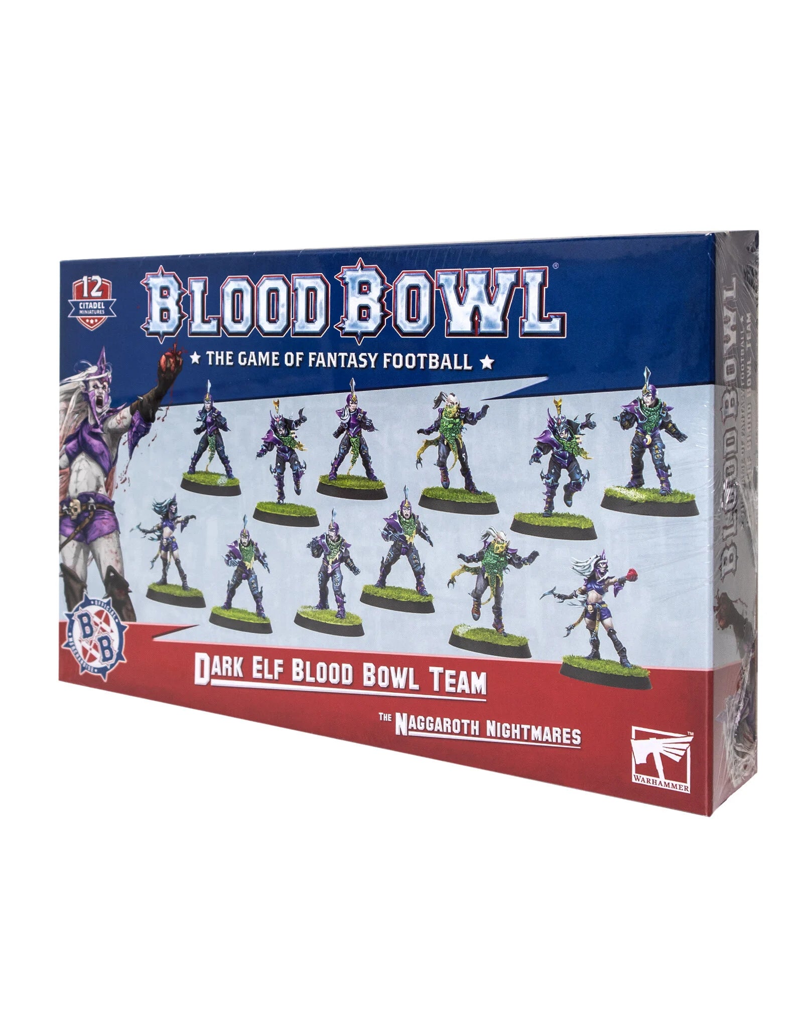 Équipe Elfes Noirs Blood Bowl : Cauchemars de Naggaroth