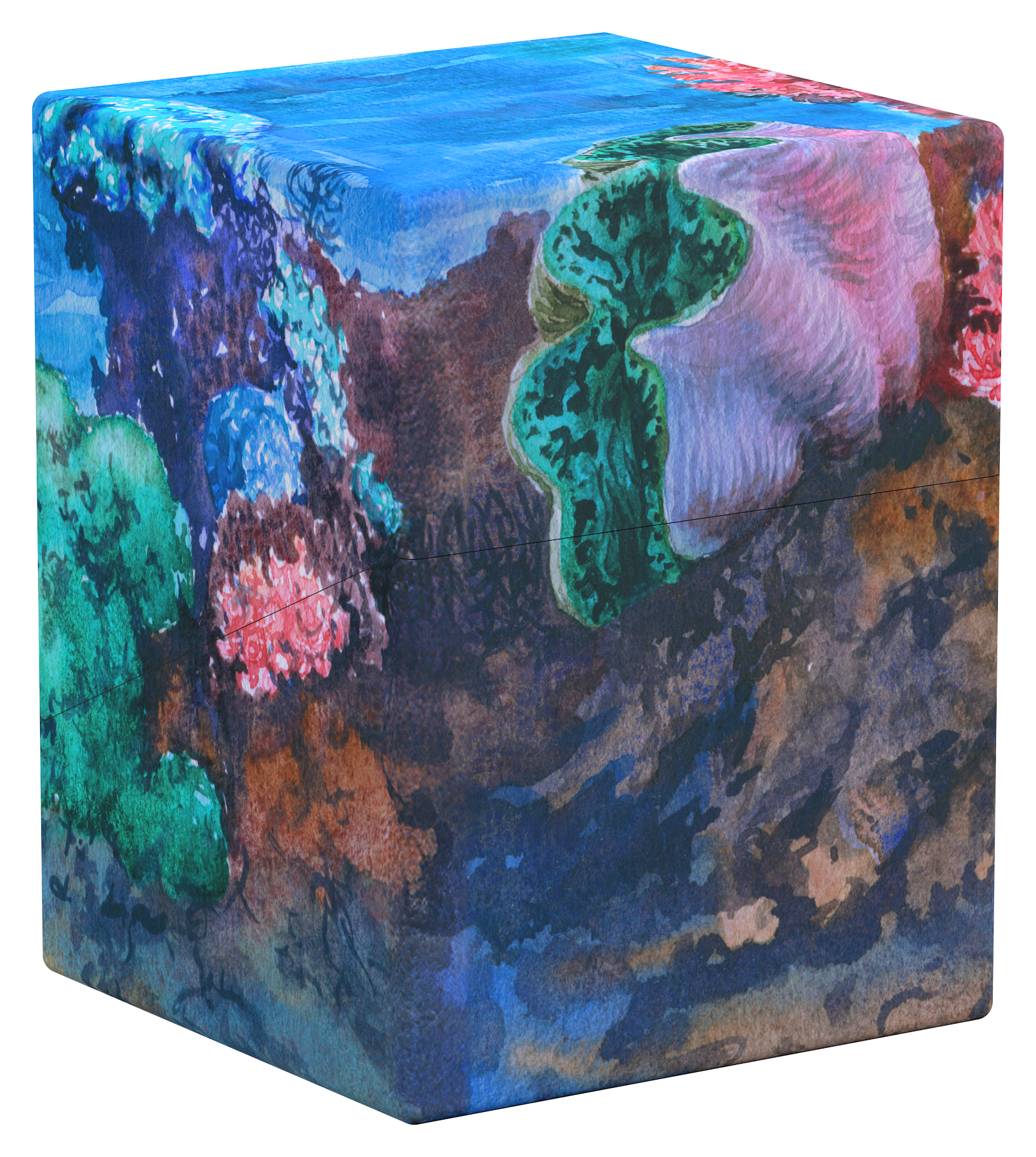 UG Deck Case Boulder 100+ Coral Places: Coralline Eden