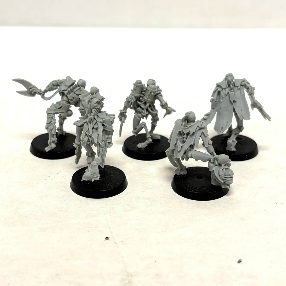 Necrons: Flayed Ones (2) (Used)