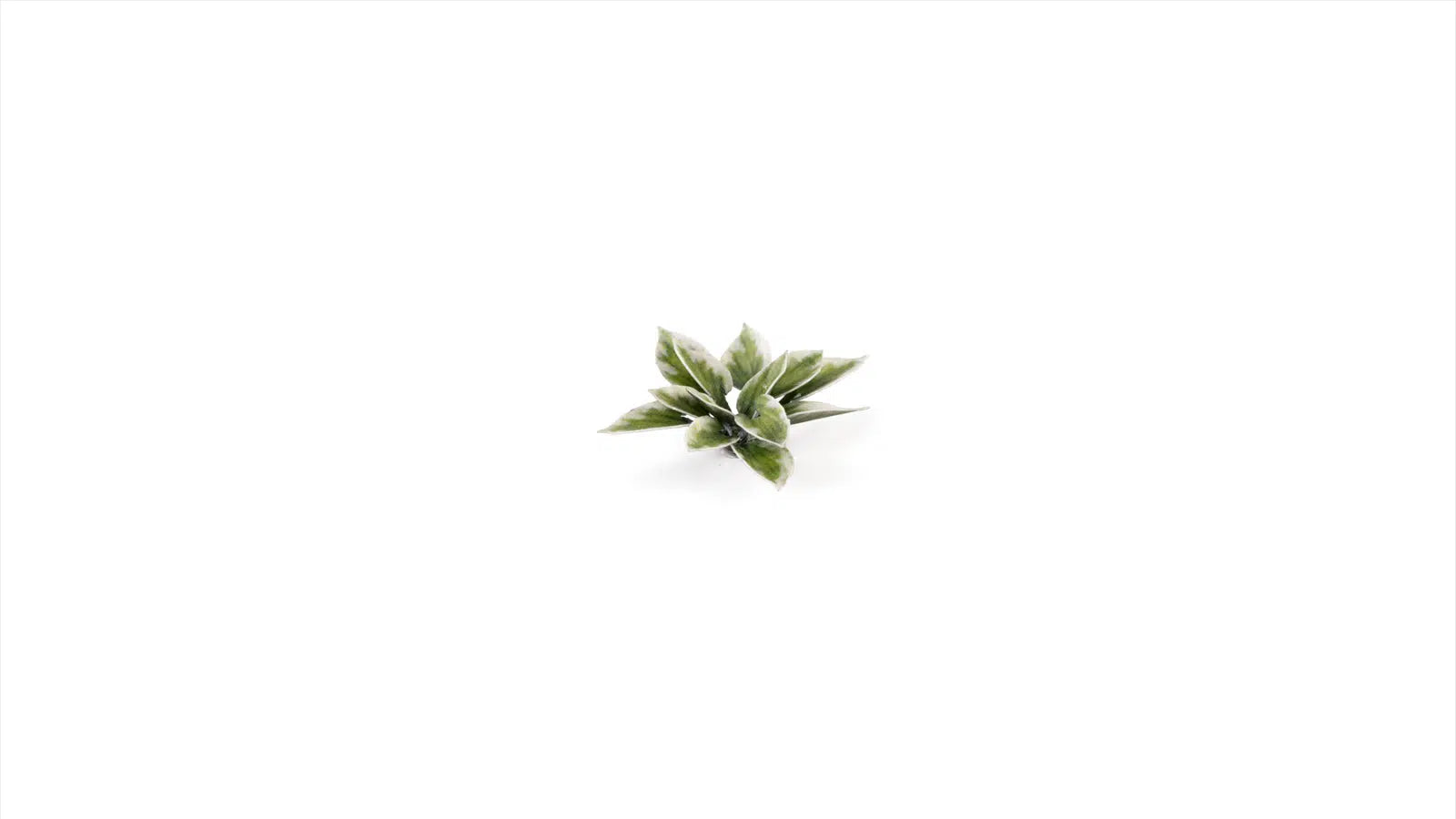 Gamers Grass - Static Tuft Laser Plants - Plantain Lily