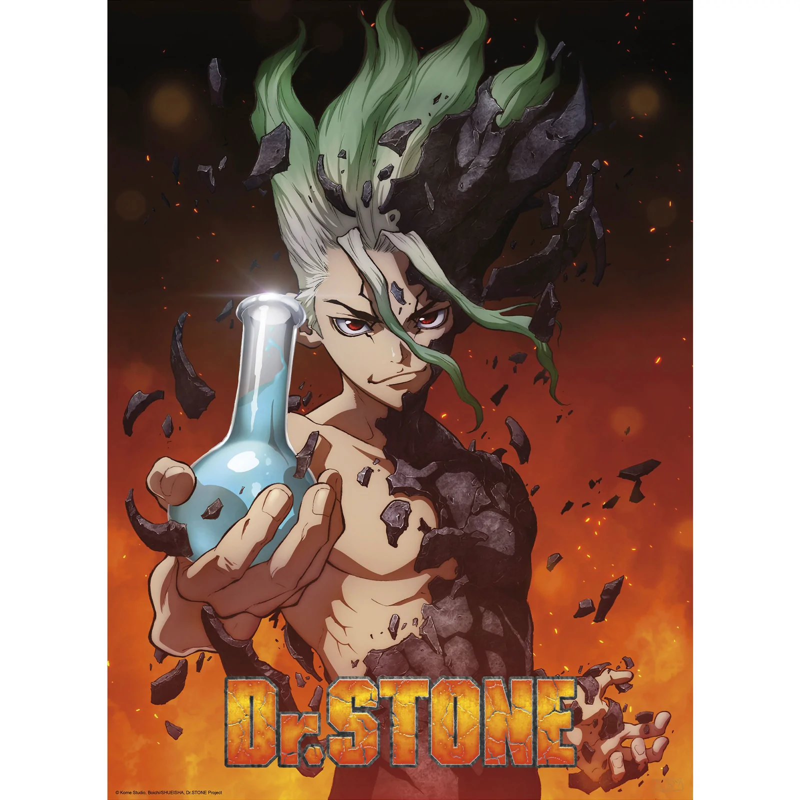 Dr. Stone Boxed Poster Set