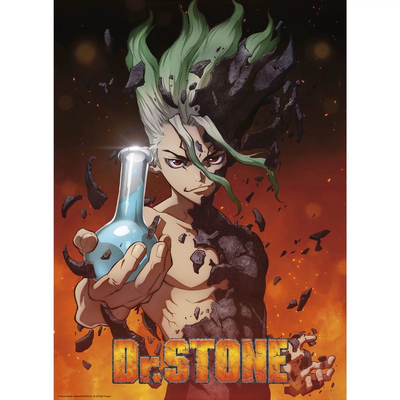 Dr. Stone Boxed Poster Set