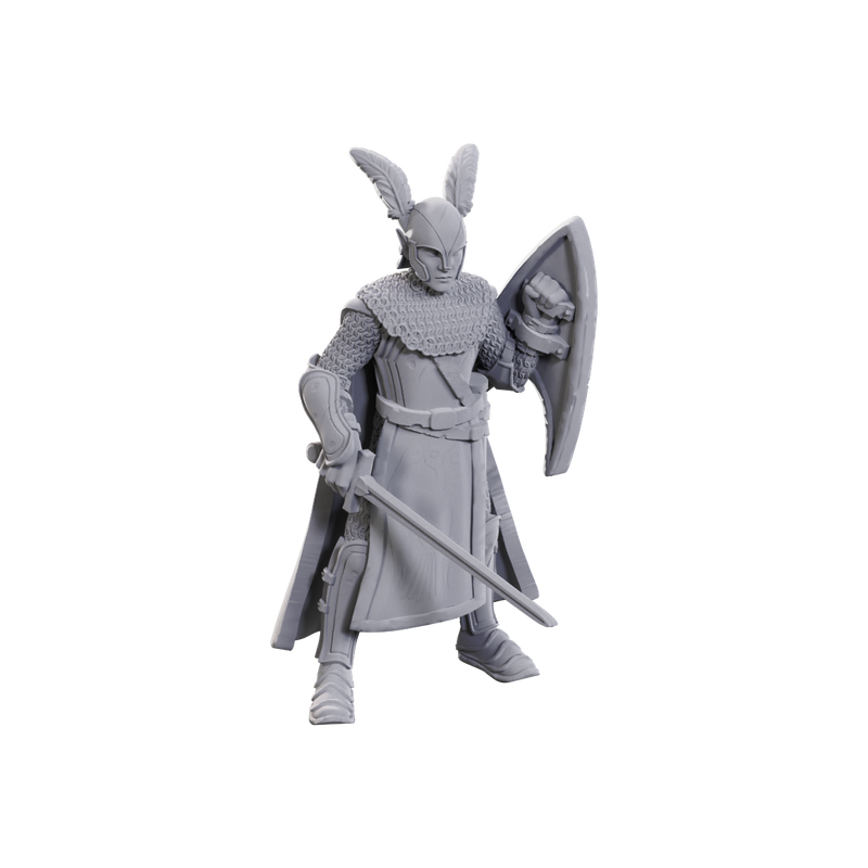 Dungeons & Dragons 50th Anniversary Minis - Limited Edition Elves