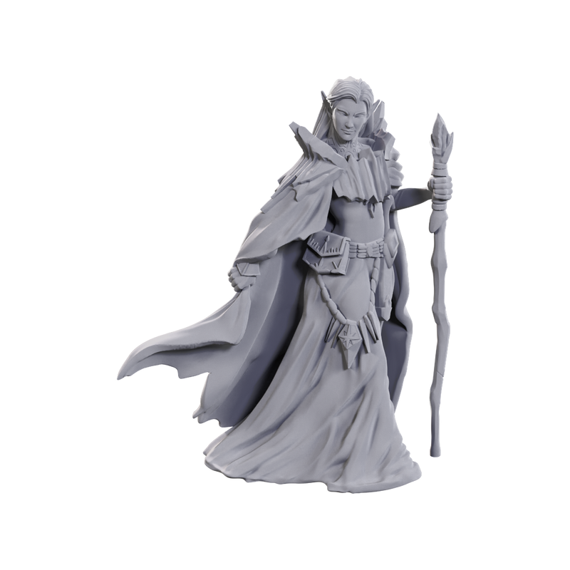 Dungeons & Dragons 50th Anniversary Minis - Limited Edition Elves