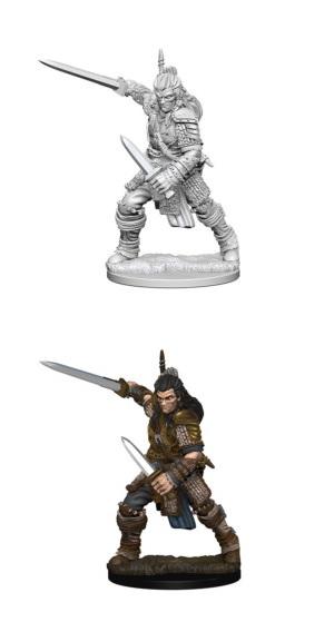 Pathfinder: Male Human Fighter