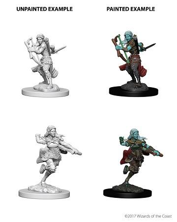Air Genasi Rogue - Wave 4