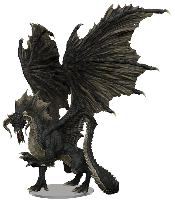Dragon noir adulte