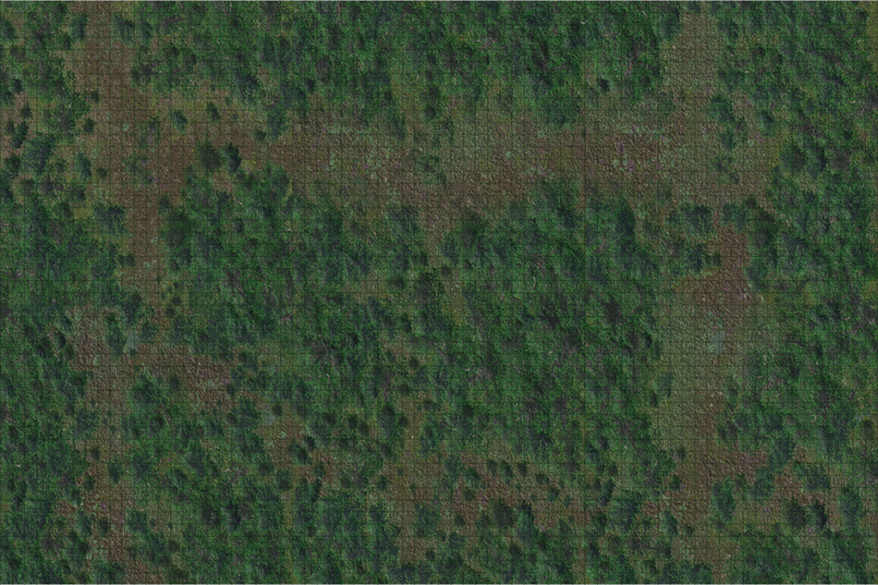 Battle Mat: Forest