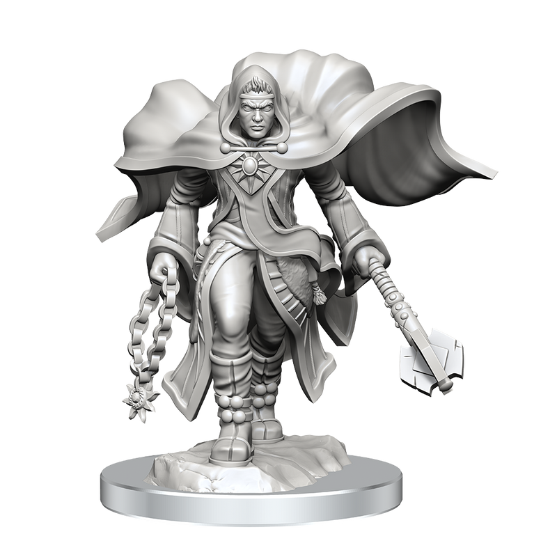 Wave 20: Aasimar Cleric Male