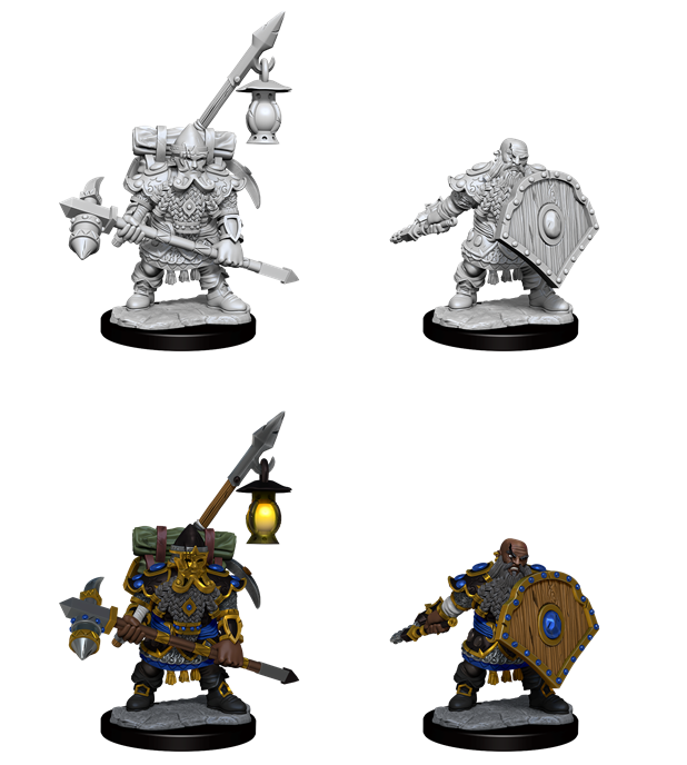 Cadres : combattant nain mâle